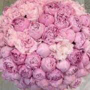 ヒメ日記 2025/04/12 02:11 投稿 遠藤 優里 超LEXUS