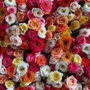 ヒメ日記 2025/04/18 17:28 投稿 遠藤 優里 超LEXUS