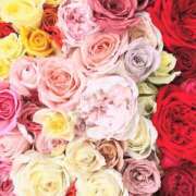 ヒメ日記 2025/04/20 01:51 投稿 遠藤 優里 超LEXUS