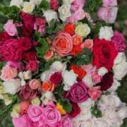 ヒメ日記 2025/04/20 16:51 投稿 遠藤 優里 超LEXUS