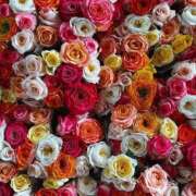 ヒメ日記 2025/04/21 01:21 投稿 遠藤 優里 超LEXUS