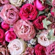 ヒメ日記 2025/04/24 01:41 投稿 遠藤 優里 超LEXUS