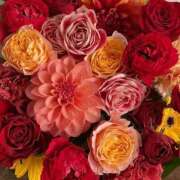 ヒメ日記 2025/04/25 01:51 投稿 遠藤 優里 超LEXUS