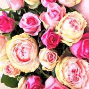 ヒメ日記 2025/04/25 17:02 投稿 遠藤 優里 超LEXUS