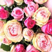 ヒメ日記 2025/04/26 01:51 投稿 遠藤 優里 超LEXUS