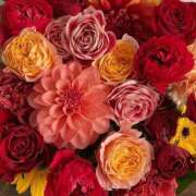 ヒメ日記 2025/04/28 01:51 投稿 遠藤 優里 超LEXUS