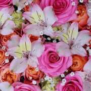 ヒメ日記 2025/05/03 17:02 投稿 遠藤 優里 超LEXUS