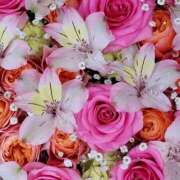 ヒメ日記 2025/05/04 01:41 投稿 遠藤 優里 超LEXUS