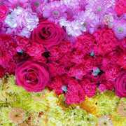 ヒメ日記 2025/05/05 17:02 投稿 遠藤 優里 超LEXUS