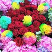 ヒメ日記 2025/05/08 17:01 投稿 遠藤 優里 超LEXUS