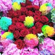 ヒメ日記 2025/05/09 01:21 投稿 遠藤 優里 超LEXUS