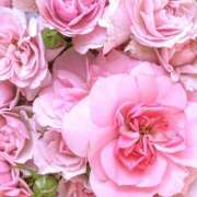 ヒメ日記 2025/05/09 17:15 投稿 遠藤 優里 超LEXUS