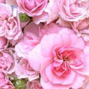 ヒメ日記 2025/05/10 02:11 投稿 遠藤 優里 超LEXUS