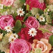 ヒメ日記 2025/05/10 16:51 投稿 遠藤 優里 超LEXUS