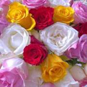 ヒメ日記 2025/05/17 17:02 投稿 遠藤 優里 超LEXUS