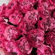 ヒメ日記 2025/05/18 17:02 投稿 遠藤 優里 超LEXUS