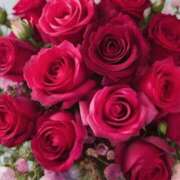 ヒメ日記 2025/05/19 02:02 投稿 遠藤 優里 超LEXUS