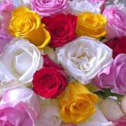 ヒメ日記 2025/05/31 17:02 投稿 遠藤 優里 超LEXUS