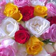 ヒメ日記 2025/06/01 02:01 投稿 遠藤 優里 超LEXUS