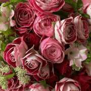 ヒメ日記 2025/06/01 17:02 投稿 遠藤 優里 超LEXUS