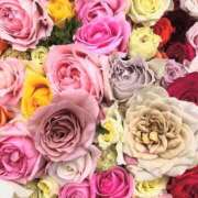 ヒメ日記 2025/06/02 01:41 投稿 遠藤 優里 超LEXUS