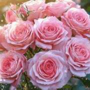 ヒメ日記 2025/06/05 17:02 投稿 遠藤 優里 超LEXUS