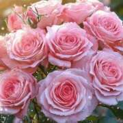 ヒメ日記 2025/06/06 01:41 投稿 遠藤 優里 超LEXUS