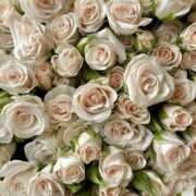 ヒメ日記 2025/06/06 17:02 投稿 遠藤 優里 超LEXUS