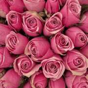 ヒメ日記 2025/06/14 02:01 投稿 遠藤 優里 超LEXUS