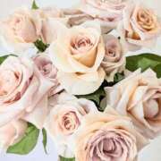 ヒメ日記 2025/06/22 16:51 投稿 遠藤 優里 超LEXUS