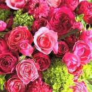 ヒメ日記 2025/06/25 17:21 投稿 遠藤 優里 超LEXUS