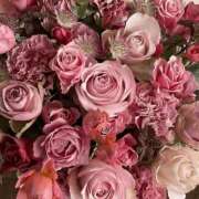 ヒメ日記 2025/06/26 16:51 投稿 遠藤 優里 超LEXUS