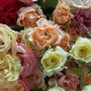 ヒメ日記 2025/06/27 16:51 投稿 遠藤 優里 超LEXUS