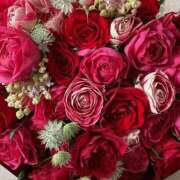 ヒメ日記 2025/06/29 17:21 投稿 遠藤 優里 超LEXUS