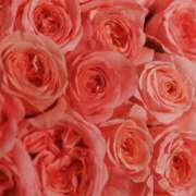 ヒメ日記 2025/07/05 17:21 投稿 遠藤 優里 超LEXUS