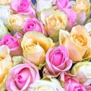 ヒメ日記 2025/07/11 17:02 投稿 遠藤 優里 超LEXUS