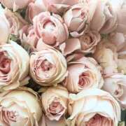 ヒメ日記 2025/07/12 17:21 投稿 遠藤 優里 超LEXUS