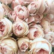 ヒメ日記 2025/07/13 01:51 投稿 遠藤 優里 超LEXUS