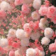 ヒメ日記 2025/07/18 17:51 投稿 遠藤 優里 超LEXUS