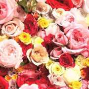 ヒメ日記 2025/07/28 00:51 投稿 遠藤 優里 超LEXUS