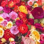 ヒメ日記 2025/08/02 01:41 投稿 遠藤 優里 超LEXUS