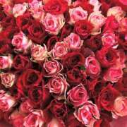 ヒメ日記 2025/08/08 18:11 投稿 遠藤 優里 超LEXUS