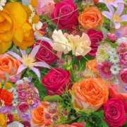 ヒメ日記 2025/08/14 17:02 投稿 遠藤 優里 超LEXUS