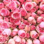 ヒメ日記 2025/08/17 01:41 投稿 遠藤 優里 超LEXUS