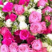 ヒメ日記 2025/08/22 17:05 投稿 遠藤 優里 超LEXUS