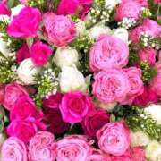 ヒメ日記 2025/08/23 02:01 投稿 遠藤 優里 超LEXUS