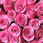 ヒメ日記 2025/08/23 17:02 投稿 遠藤 優里 超LEXUS