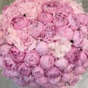 ヒメ日記 2025/08/30 02:01 投稿 遠藤 優里 超LEXUS