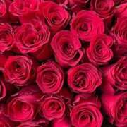 ヒメ日記 2025/09/15 01:41 投稿 遠藤 優里 超LEXUS