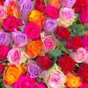 ヒメ日記 2025/09/18 01:21 投稿 遠藤 優里 超LEXUS